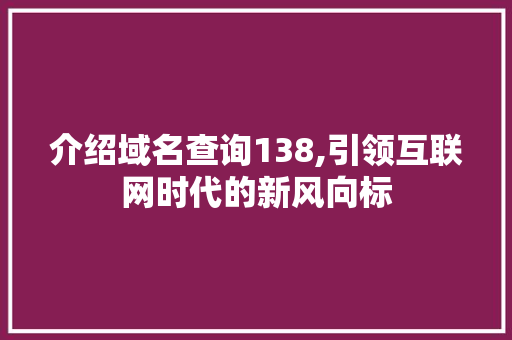 介绍域名查询138,引领互联网时代的新风向标