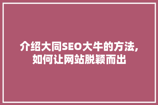 介绍大同SEO大牛的方法,如何让网站脱颖而出