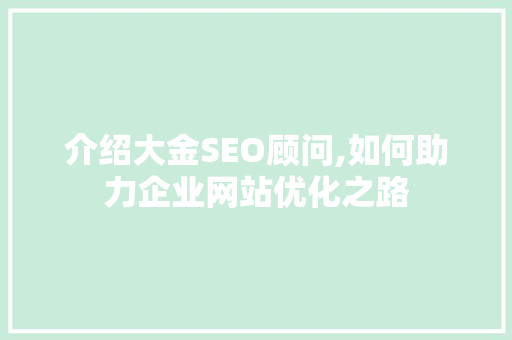 介绍大金SEO顾问,如何助力企业网站优化之路