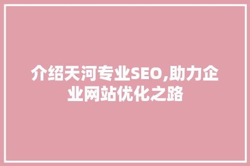 介绍天河专业SEO,助力企业网站优化之路