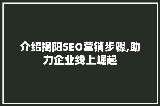 介绍揭阳SEO营销步骤,助力企业线上崛起 CSS