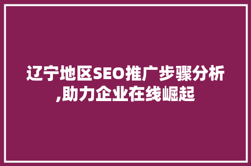 辽宁地区SEO推广步骤分析,助力企业在线崛起