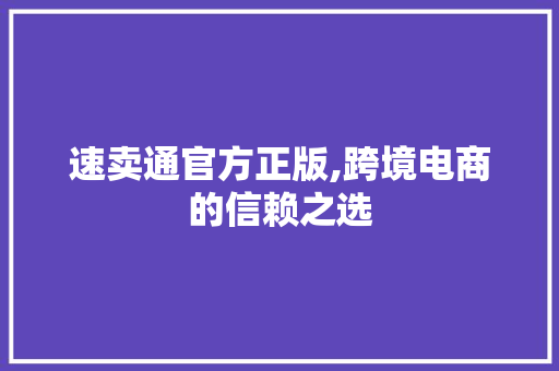 速卖通官方正版,跨境电商的信赖之选