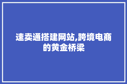 速卖通搭建网站,跨境电商的黄金桥梁