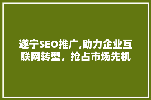 遂宁SEO推广,助力企业互联网转型，抢占市场先机