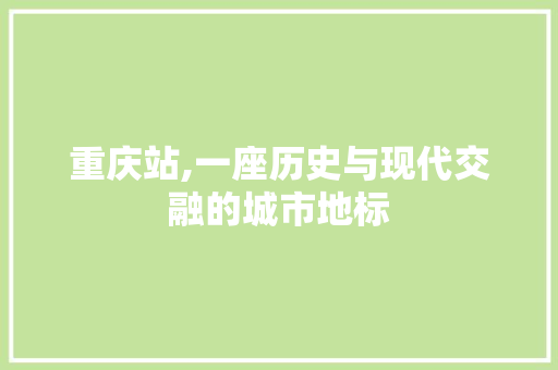 重庆站,一座历史与现代交融的城市地标 Ruby