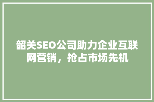 韶关SEO公司助力企业互联网营销，抢占市场先机 RESTful API