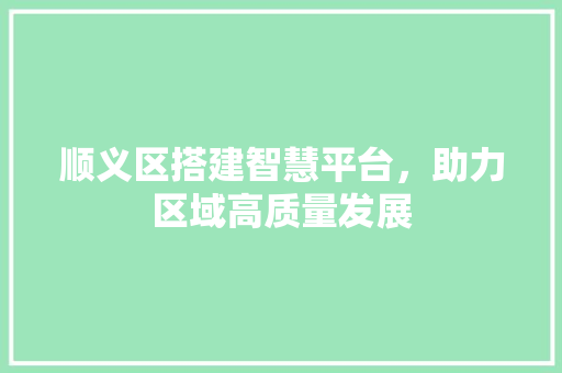 顺义区搭建智慧平台，助力区域高质量发展