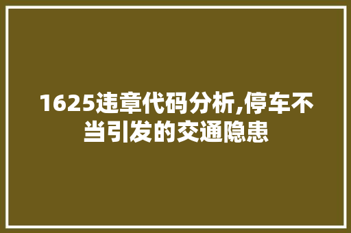 1625违章代码分析,停车不当引发的交通隐患