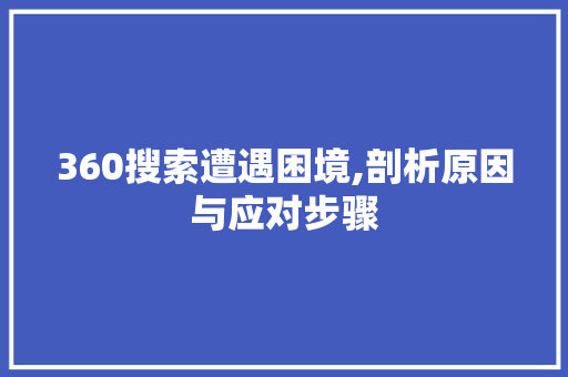 360搜索遭遇困境,剖析原因与应对步骤 React