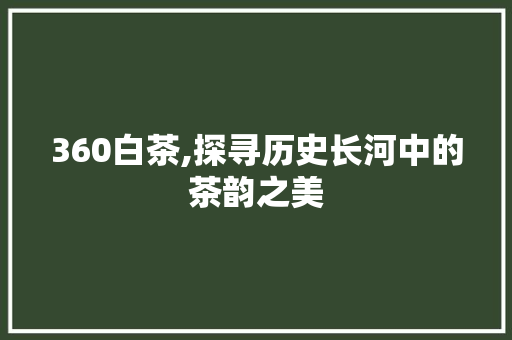 360白茶,探寻历史长河中的茶韵之美