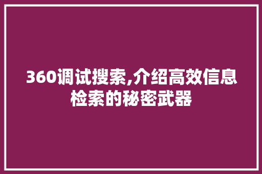 360调试搜索,介绍高效信息检索的秘密武器 Ruby