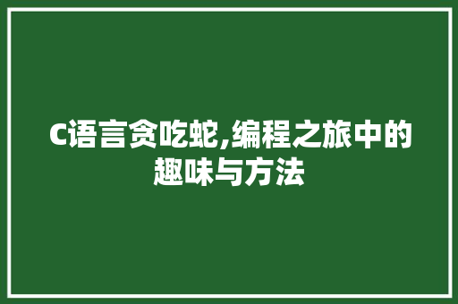 C语言贪吃蛇,编程之旅中的趣味与方法 CSS