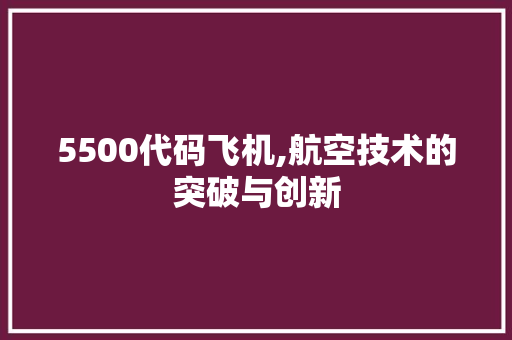 5500代码飞机,航空技术的突破与创新