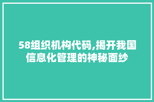 58组织机构代码,揭开我国信息化管理的神秘面纱