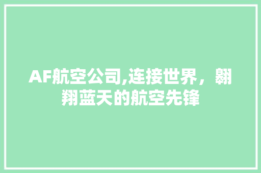 AF航空公司,连接世界，翱翔蓝天的航空先锋