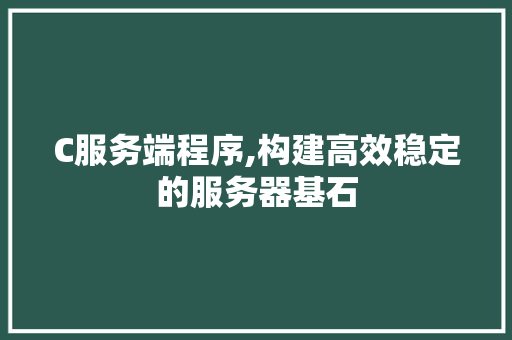 C服务端程序,构建高效稳定的服务器基石