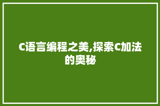 C语言编程之美,探索C加法的奥秘