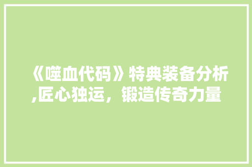 《噬血代码》特典装备分析,匠心独运，锻造传奇力量