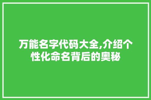 万能名字代码大全,介绍个性化命名背后的奥秘