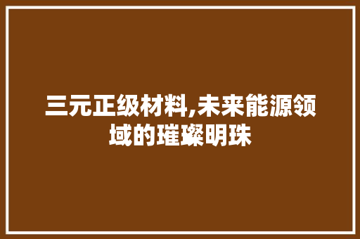 三元正级材料,未来能源领域的璀璨明珠