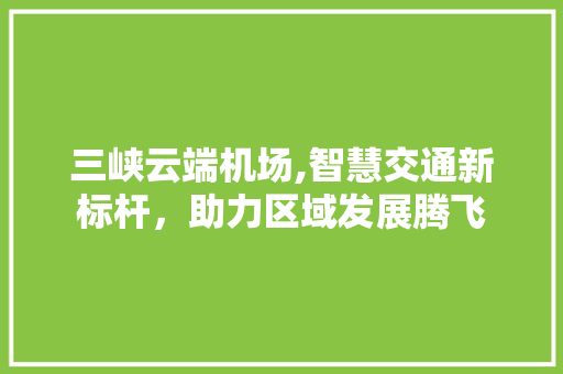 三峡云端机场,智慧交通新标杆，助力区域发展腾飞