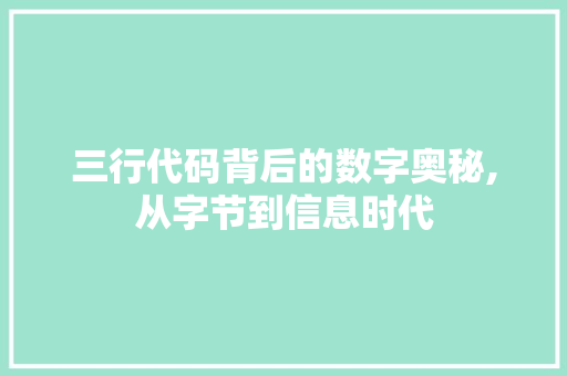 三行代码背后的数字奥秘,从字节到信息时代