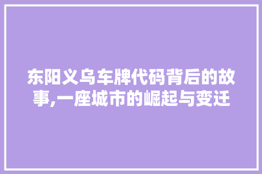 东阳义乌车牌代码背后的故事,一座城市的崛起与变迁