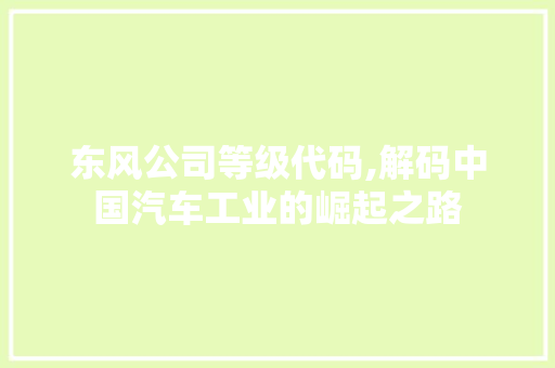 东风公司等级代码,解码中国汽车工业的崛起之路