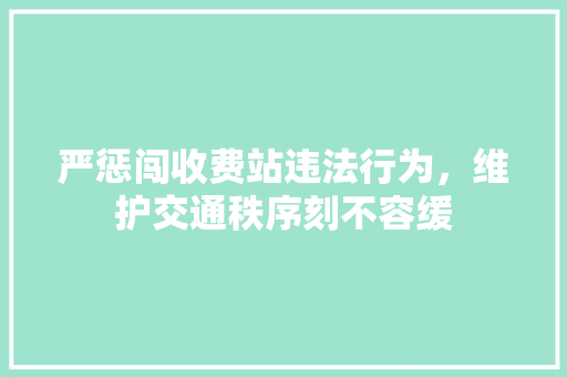 严惩闯收费站违法行为，维护交通秩序刻不容缓