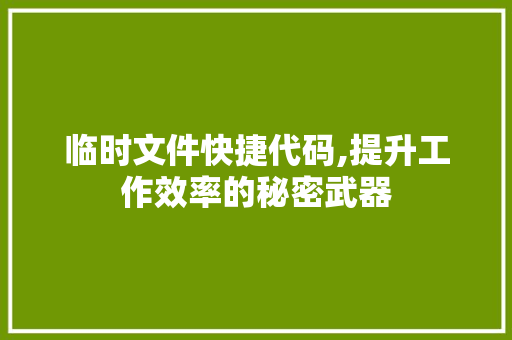 临时文件快捷代码,提升工作效率的秘密武器