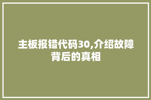 主板报错代码30,介绍故障背后的真相