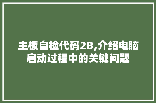 主板自检代码2B,介绍电脑启动过程中的关键问题