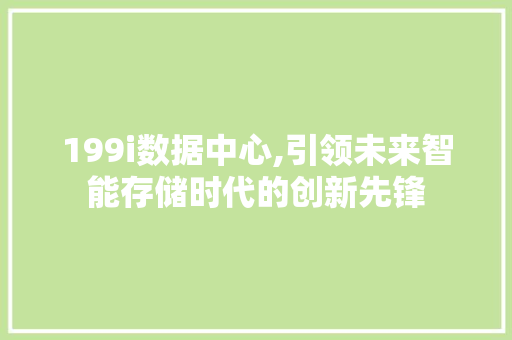 199i数据中心,引领未来智能存储时代的创新先锋