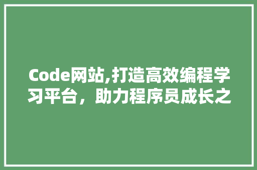 Code网站,打造高效编程学习平台，助力程序员成长之路