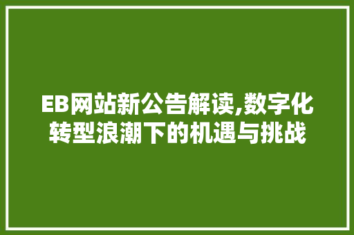 EB网站新公告解读,数字化转型浪潮下的机遇与挑战