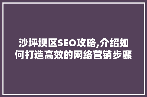 沙坪坝区SEO攻略,介绍如何打造高效的网络营销步骤 CSS