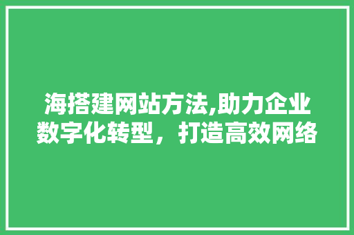 海搭建网站方法,助力企业数字化转型，打造高效网络营销平台