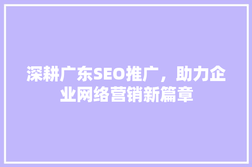 深耕广东SEO推广，助力企业网络营销新篇章 CSS