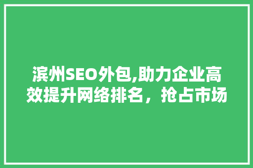 滨州SEO外包,助力企业高效提升网络排名，抢占市场先机