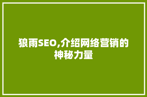 狼雨SEO,介绍网络营销的神秘力量 Python