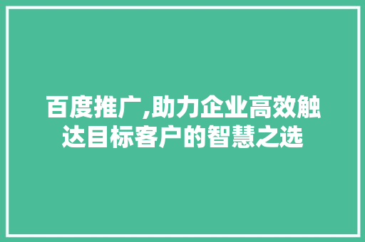 百度推广,助力企业高效触达目标客户的智慧之选 GraphQL