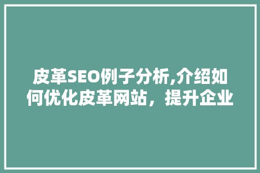 皮革SEO例子分析,介绍如何优化皮革网站，提升企业竞争力 Vue.js