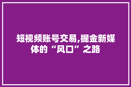 短视频账号交易,掘金新媒体的“风口”之路