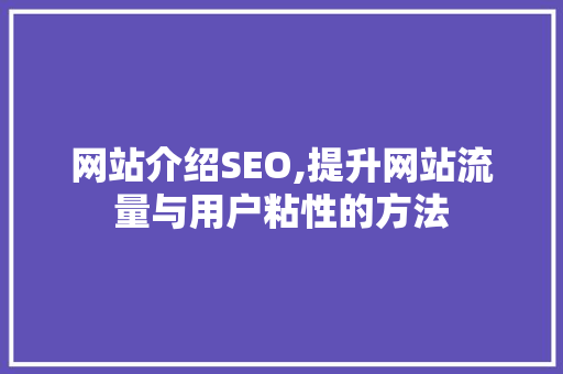 网站介绍SEO,提升网站流量与用户粘性的方法