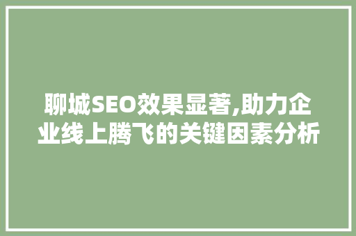 聊城SEO效果显著,助力企业线上腾飞的关键因素分析