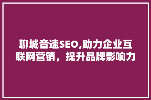 聊城音速SEO,助力企业互联网营销，提升品牌影响力