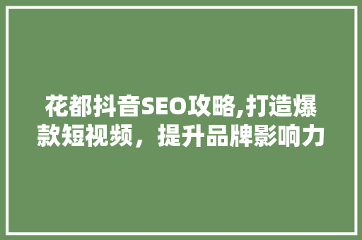 花都抖音SEO攻略,打造爆款短视频，提升品牌影响力 CSS