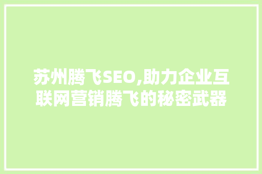 苏州腾飞SEO,助力企业互联网营销腾飞的秘密武器