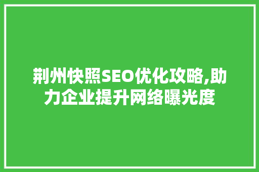 荆州快照SEO优化攻略,助力企业提升网络曝光度 Webpack